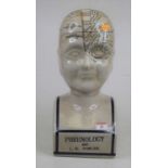 A reproduction Fowler phrenology bust, height 40cm