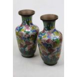 A pair of Chinese cloisonne enamel vases, of baluster form, each decorated with chrysanthemums, h.