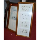 A collection of various prints, to include pair of oak framed examples