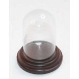A miniature glass display dome with wooden plinth, height 15cm