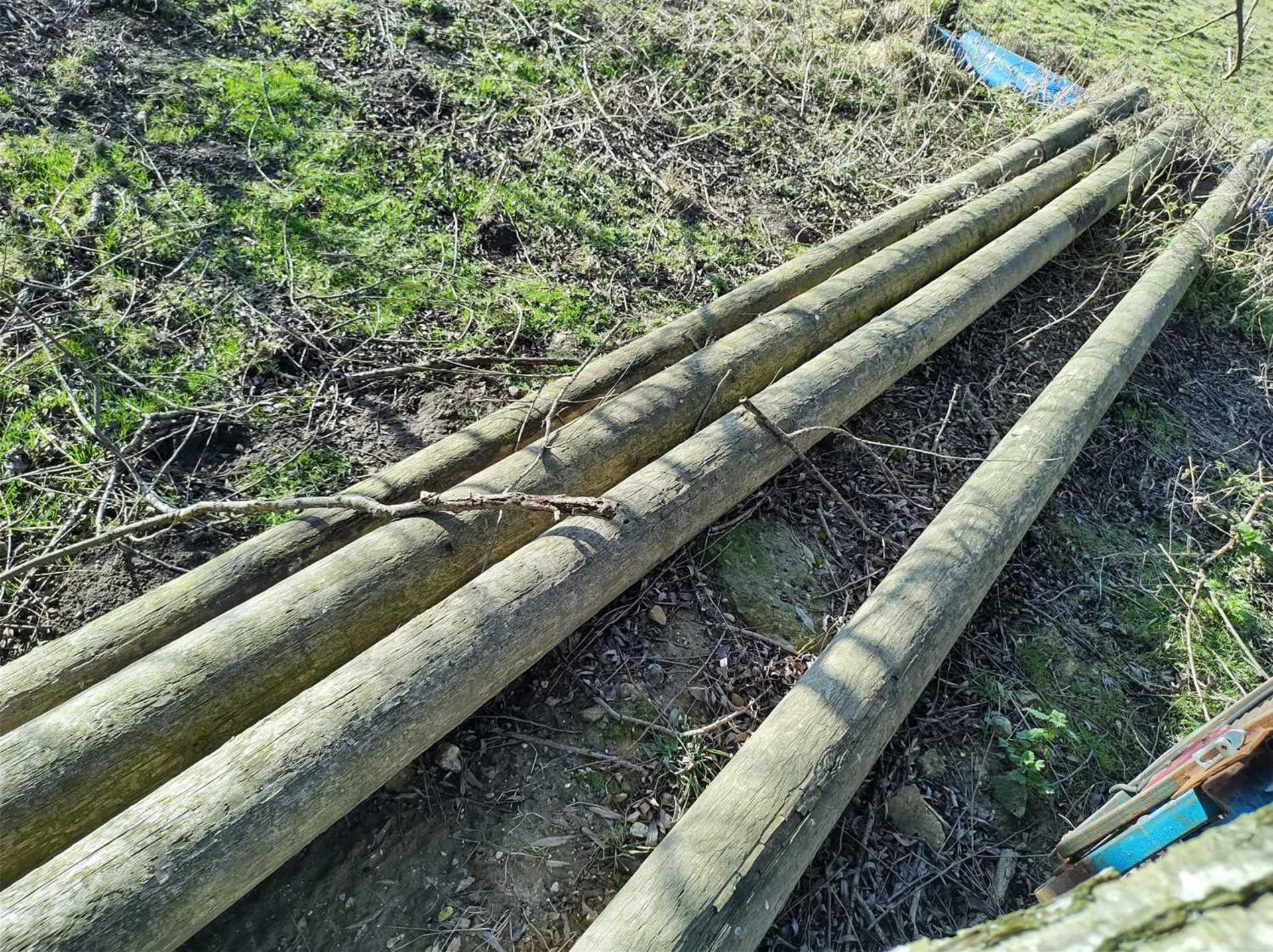 4x 8m Telegraph Poles