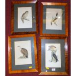 A set of ten birdseye maple framed colour prints of exotic birds, each 21x14cm