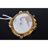 A carved shell cameo brooch in pinchbeck mount, with safety chain, 55 x 50mm