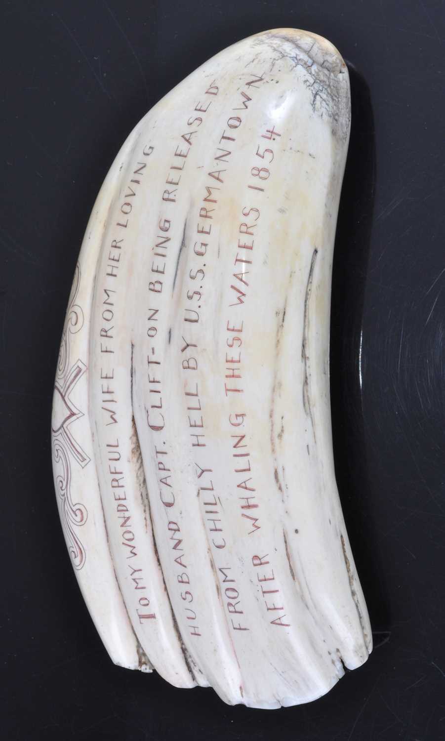 A 19th century Sperm Whale tooth, scrimshaw decorated with two ships at sea within a rope-twist - Image 4 of 5