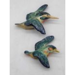 A graduated pair of Beswick wall hanging kingfishers, the largest w.15cm