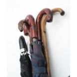 A collection of five various walking sticks and umbrellas