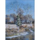 § Clive Madgwick (1934-2005) - Riverbank at Winter, oil on canvas, signed lower right, 40 x 30cm