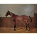 Albert Edward D G Stirling-Brown (act.1896-1929) - Portrait of a bay thoroughbred in his stable, oil