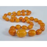 An amber single string necklace, the graduated barrel beads on a knotted string, 60g, largest bead