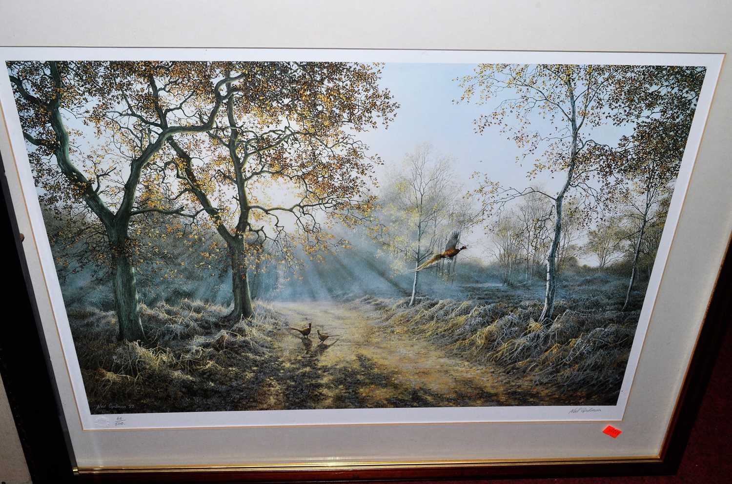 Neil Spilman - Game Birds on a Sunlit Morning, limited edition print No. 66/500, 40x60cm; and a - Image 3 of 3