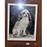 Kurt Meyer-Eberhardt (German, 1895-1977) - dog study, etching, signed in pencil to the margin,