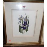 Elspeth Harrigan (1938-1999) - Botanical study, watercolour, signed lower right, 18 x 23cm
