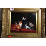Helen Lees - Kittens around the fishbowl, oil on panel, signed lower left, 19 x 23.5 cm