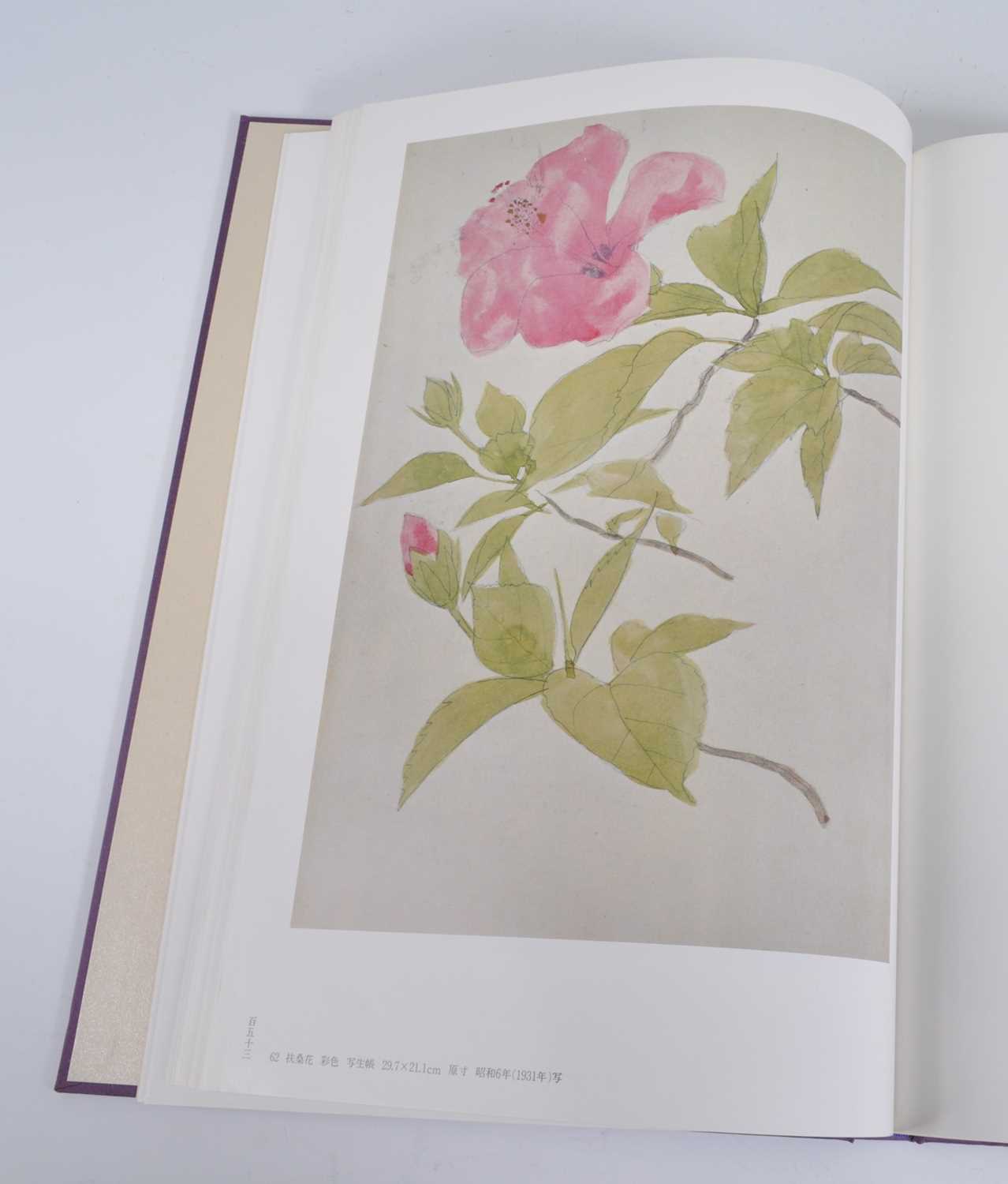 Gyoshū Hayami (速水 御舟), Works & Drawings, two volumes, published Mitsumura, Japan, 1981, in - Bild 16 aus 18