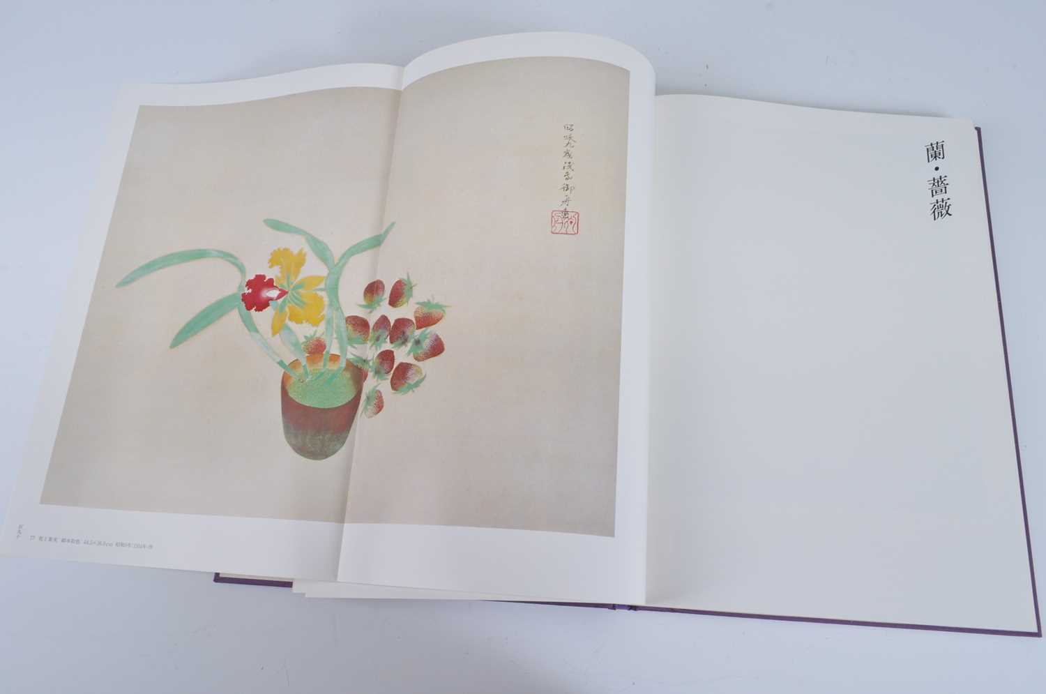 Gyoshū Hayami (速水 御舟), Works & Drawings, two volumes, published Mitsumura, Japan, 1981, in - Bild 17 aus 18