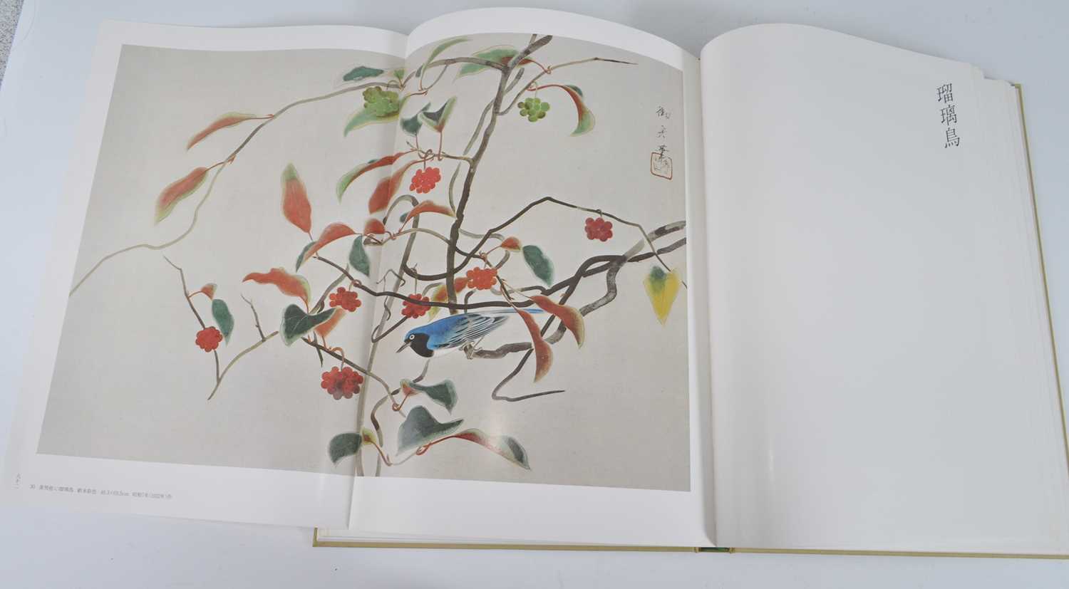 Gyoshū Hayami (速水 御舟), Works & Drawings, two volumes, published Mitsumura, Japan, 1981, in - Bild 14 aus 18