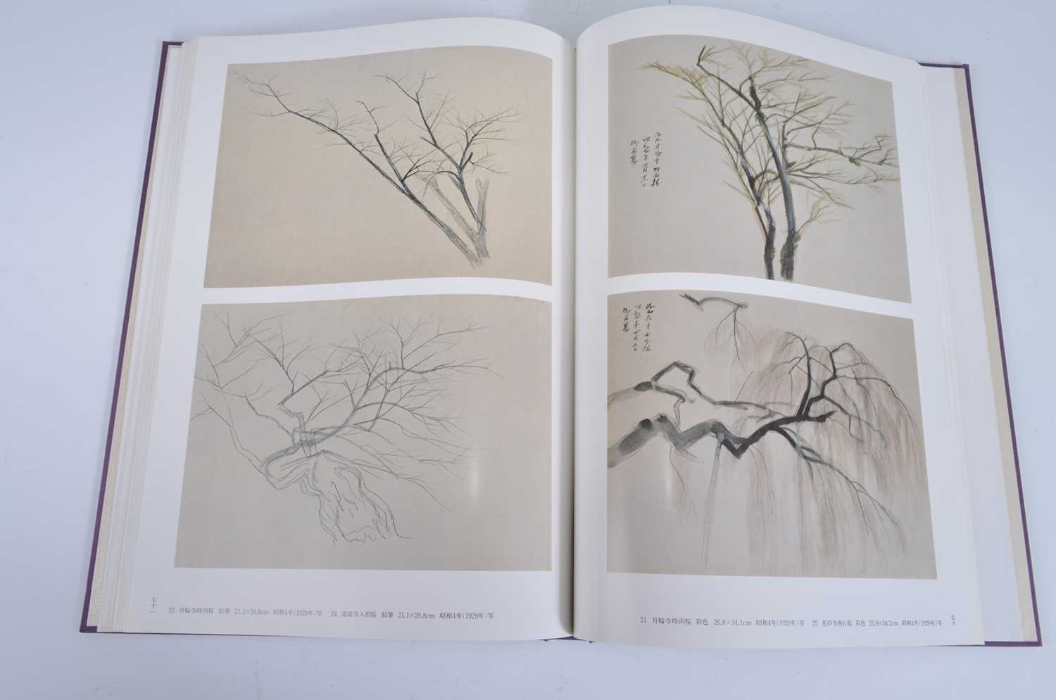 Gyoshū Hayami (速水 御舟), Works & Drawings, two volumes, published Mitsumura, Japan, 1981, in - Bild 15 aus 18