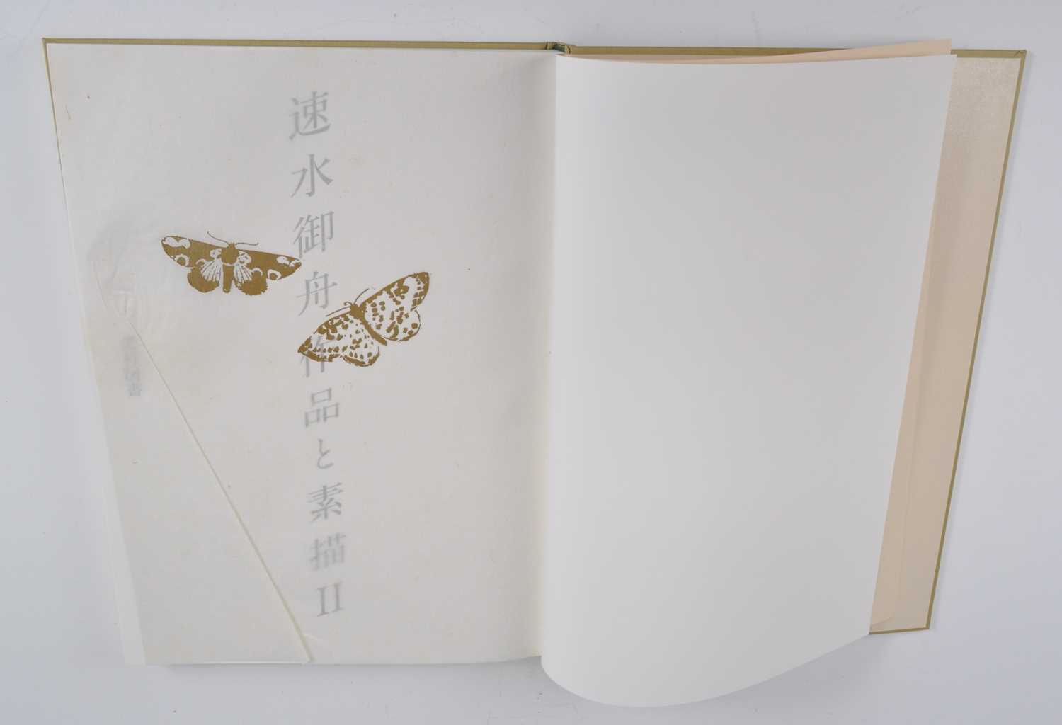 Gyoshū Hayami (速水 御舟), Works & Drawings, two volumes, published Mitsumura, Japan, 1981, in - Bild 3 aus 18