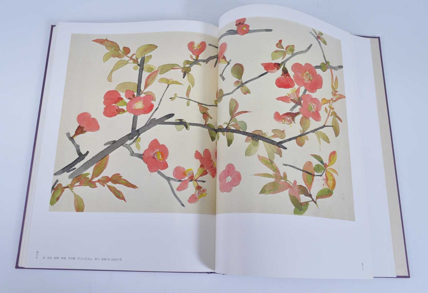 Gyoshū Hayami (速水 御舟), Works & Drawings, two volumes, published Mitsumura, Japan, 1981, in - Bild 11 aus 18