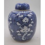 A Chinese export porcelain ginger jar, in the prunus pattern, double ring mark to the underside,