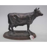 A 20th century bronzed model of a Dexter cow, mounted upon a pine plinth, height 23cm