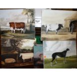 Assorted contemporary oil on canvas, being studies of prize livestock and animals, the largest 51