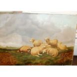 J Clark - Sheep resting, oil on canvas, signed lower left, 35 x 50.5cm (unframed)