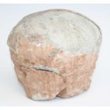 A fossilised dinosaur? egg, possibly late Cretaceous Period, 100-66 million years BP. w,17, d.14,