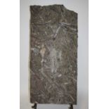 A large orthoceras matrix, Devonian period, 118 x 55cm, on a custom made iron stand.