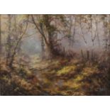 David Dipnall (b.1941) - Woodland stream, oil on canvas, signed lower right, 30 x 40cmIn excellent