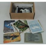 A box of miscellaneous postcards, to include ornithological and topographical examples