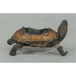 An early 20th century taxidermy juvenile tortoise, the shell cut-away with later inset brass dish,