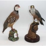 A taxidermy partridge, height 36cm, together with a resin model of a falcon, height 37cm (2)