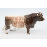 A Beswick model of a Dairy Short Horn Bull "Gwersylt Lord Oxford 74th", model No. 1504, brown &