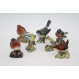 A collection of Beswick models of birds to include Bluetit and Wren, largest height 8cm