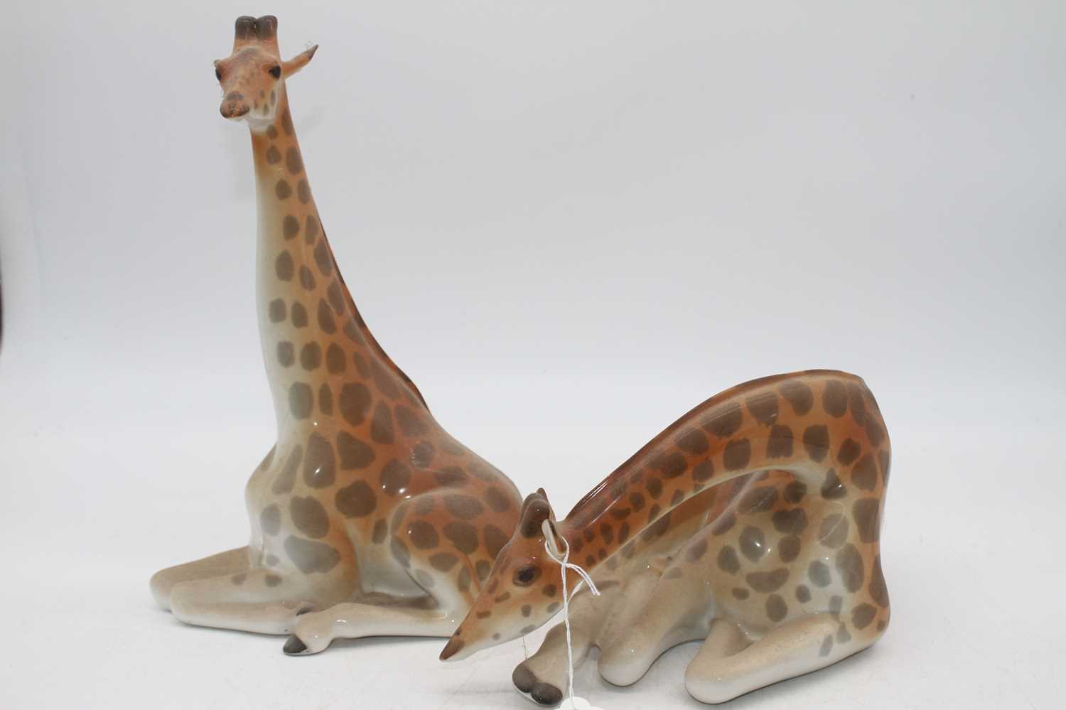 Two Russian Lomonosov figures of recumbent giraffes, height of largest 30cm (2)