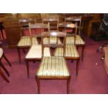 A set of six 19th century faded rosewood and inlaid barback dining chairs, having striped