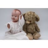 A vintage Pedigree doll; together with a blond mohair teddy-bear