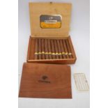 Eleven Cohiba Habanos Cuban cigars, loose in box