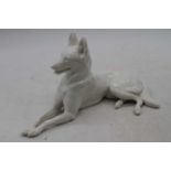 A Nymphenberg porcelain model of an Alsatian, marked T Karner, h.14cm (a/f)