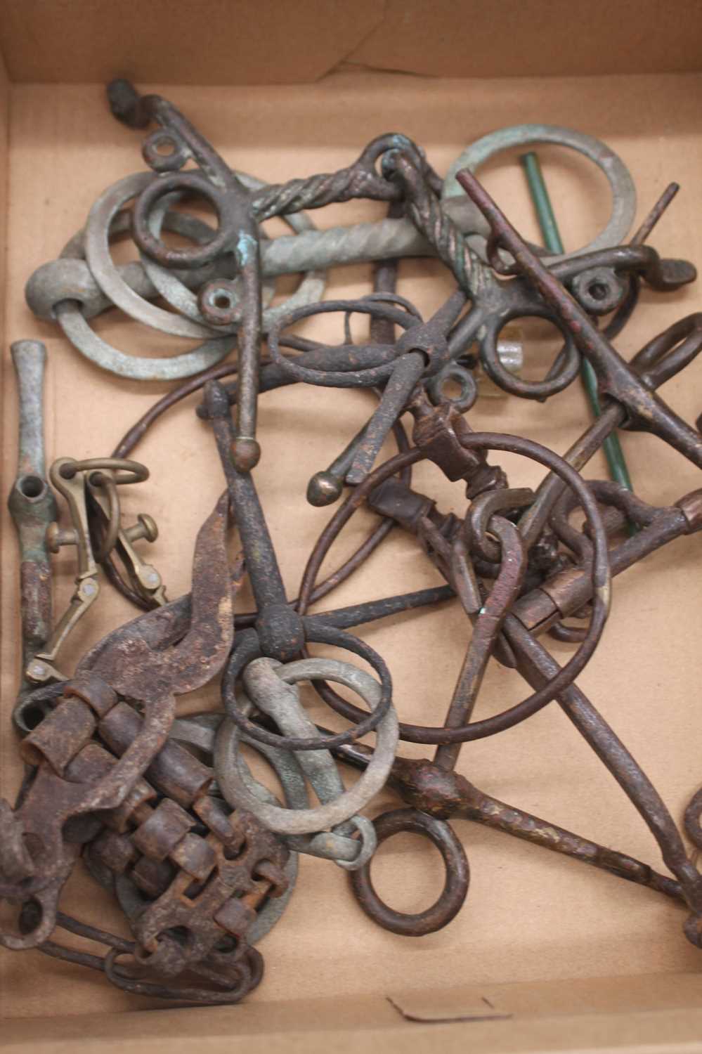 A collection of 19th century and later horse bits