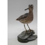 A carved wooden model of a snipe, signed indistinctly and dated '03 2001, h.21cm