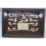 A display case containing a collection of traditional clay pipe designs, 32x48cm