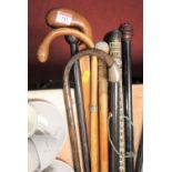 A collection of 19th century and later walking sticks (9)