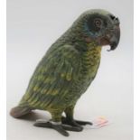 An early 20th century cold painted spelter model of a parrot, height 15cm (a/f)