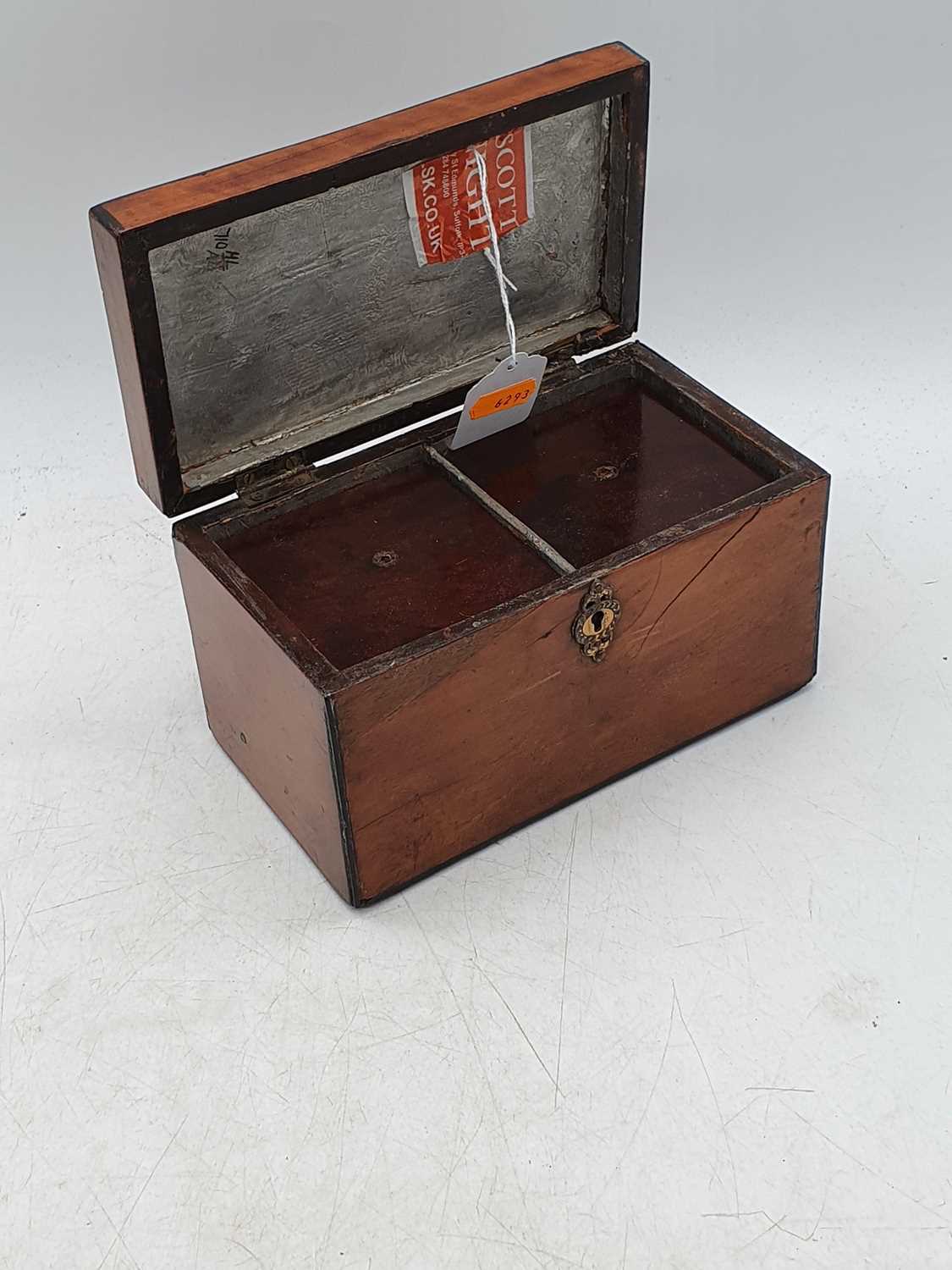 A 19th century satin wood tea caddy, the lid marquetry inlaid with a conch shell, lifting to - Image 2 of 2
