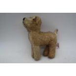 A stuffed dog toy, having glass eyes, h.22cm