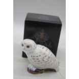 A Royal Crown Derby model of a snowy owl, Gold button h.10cm, boxedNo Damage