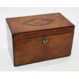 A 19th century satin wood tea caddy, the lid marquetry inlaid with a conch shell, lifting to