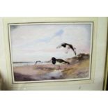 William Edward Powel, (c.1878/85-1955), Oystercatchers, watercolour, signed in pencil lower right